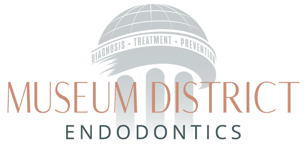 Museum District Endodontics